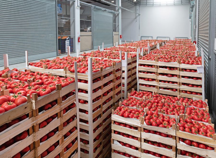 Supply Chain